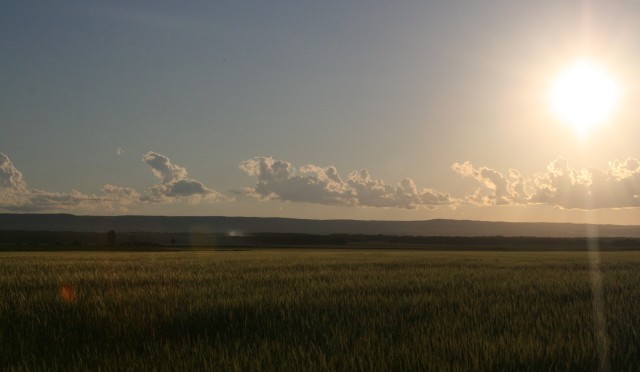 The Prairies