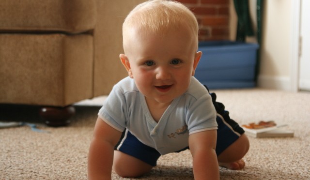 Learning to Crawl