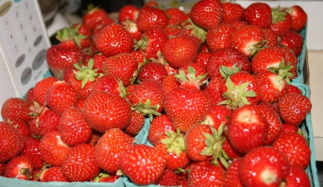 Feasting on Strawberries